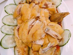 -美心皇宫(屯门大会堂店)