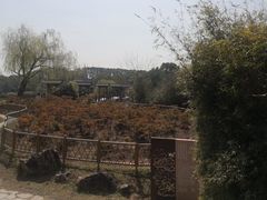 -同里国家湿地公园