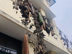 -中国蓝印花布馆