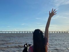 -宝安西湾红树林湿地公园