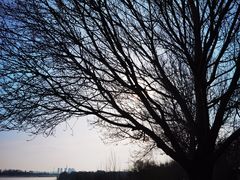 -沈阳鸟岛