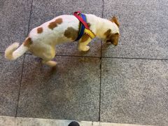 -旺涛人家(三水湾店)