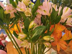 -卓花境Flowerwonderland花店