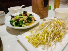 -培万河间驴火•驴肉火锅(东平店)