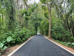 -中国科学院西双版纳热带植物园