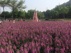 -顺峰山公园