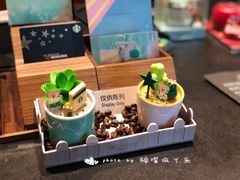 -星巴克臻选(北京嘉里中心第二店)