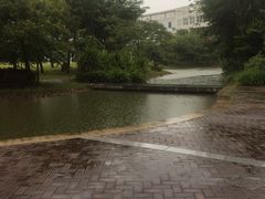 -深圳悦如酒店(香蜜公园车公庙地铁站店)