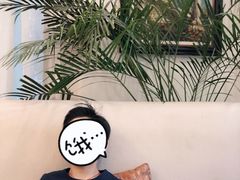 -子霖南山鲜虾面(南山总店)