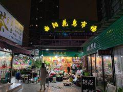 -曲阳花鸟市场(曲阳路店)