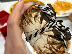 大闸蟹公蟹-七的湖·江南蟹舫·阳澄湖农家菜(蟹舫苑店)