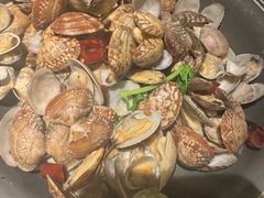 -前海沿·青岛菜(大拇指广场石老人店)