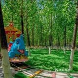 春天溜娃的森林圣地，蓝可可亲子乐园