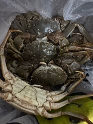 -钓虾工场·钓虾·赶海(回龙观店)