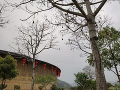 -福建土楼（华安）旅游区•大地土楼群