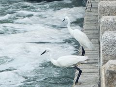 -时光花园(白鹭洲店)