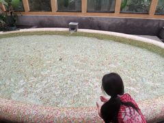 -御池园(顾村公园店)