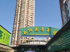 -曲阳花鸟市场(曲阳路店)