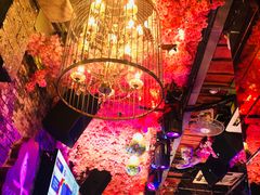 -喜鹊音乐酒馆(西街店)