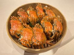 南方大闸蟹4公-成隆行·蟹王府(淮海店)