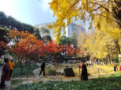 -温江公园