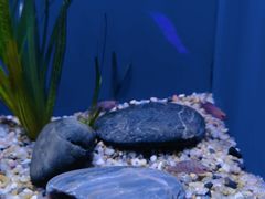 -上海海洋水族馆