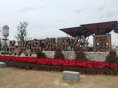 -上海长兴岛郊野公园