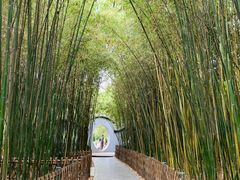 -宝鸡植物园