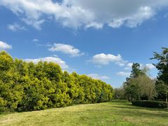 -白鹭湾湿地公园