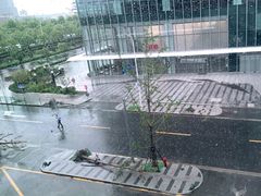 -凤凰湘语·湘粤鲜融(浦东旗舰店)