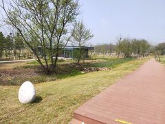 -佛手湖郊野公园