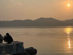 -东湖落雁景区