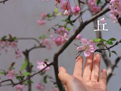 -虎丘山风景名胜区