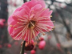 -山东大学(趵突泉校区)