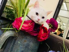 -南京禄口机场雅高铂尔曼大酒店