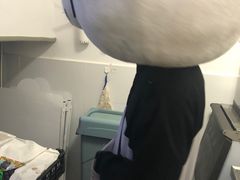 -熊猫不走蛋糕（同城送）(长沙店)