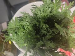 -臻牧壹品雪花牛肉火锅(大兴九臻店)