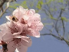 -国家植物园
