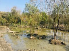 -溱湖国家湿地公园