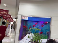 -雅悦齿科(顾村公园店)