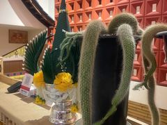 -多哥水傣味餐厅(司马巷店)