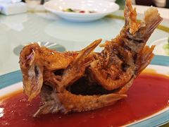 糖醋鲤鱼-金三杯酒家(泉城路店)