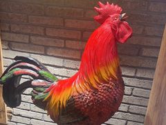 -头上红煨盐鸡乡村食府