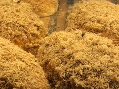 -面包新语(上地华联店)