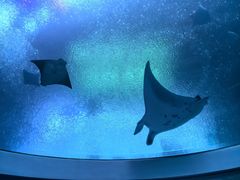 -珠海长隆海洋王国