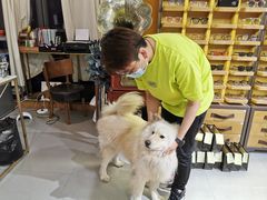 -肆兮眼镜·蔡司·徕卡战略合作店(大坪店)