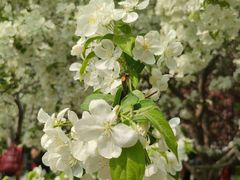 -元大都城垣遗址公园