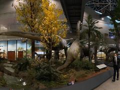 -湖南省地质博物馆