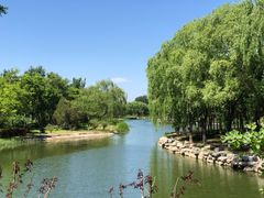 -大兴滨河森林公园