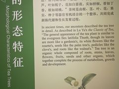 -中国茶叶博物馆(双峰馆区)